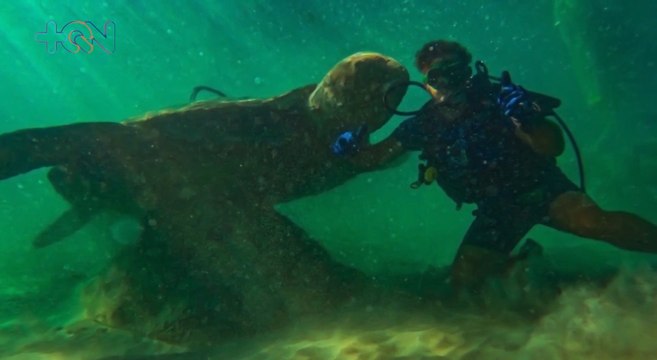 mqn-Costa Rica tiene el primer Museo Submarino de Centroamérica-310322