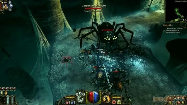 The Incredible Adventures of Van Helsing : La chasse aux araignées