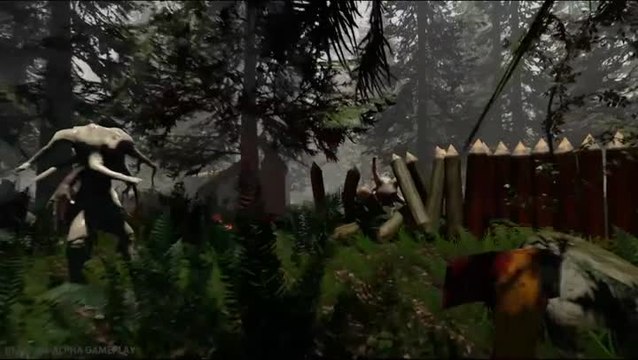 The Forest : Perdu dans les bois