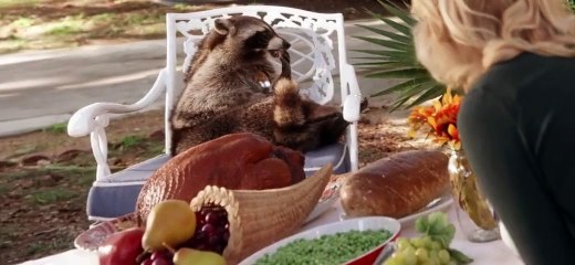 Lady Dynamite S02 E01
