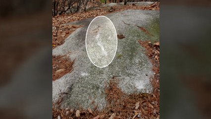 등산객 "쇠 지렛대 든 사람 있다" 제보에 추적해보니... / YTN