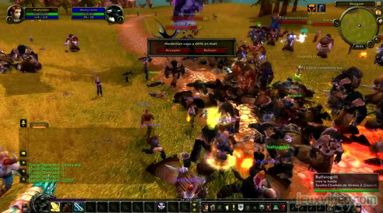 Chamans vs Paladins