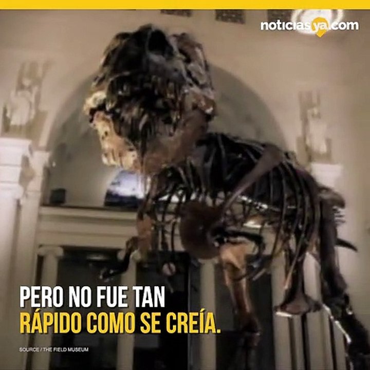 Tyrannosaurus Rex caminaba sorprendentemente lento