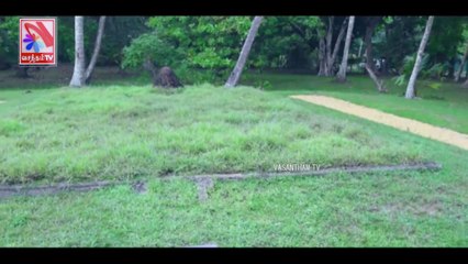 Payanam -  Vasantham TV (27-03-2022)