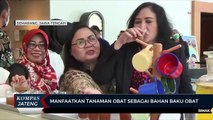 Manfaatkan Tanaman Obat Sebagai Bahan Baku Obat