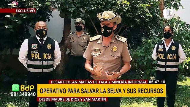 ¡Duro golpe al crimen! PNP desarticuló mafias de minera ilegal y tala de árboles