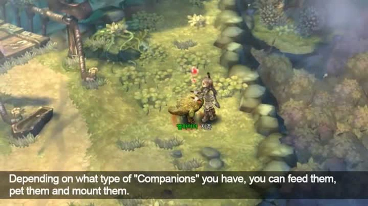 Tree of Savior - Les compagnons