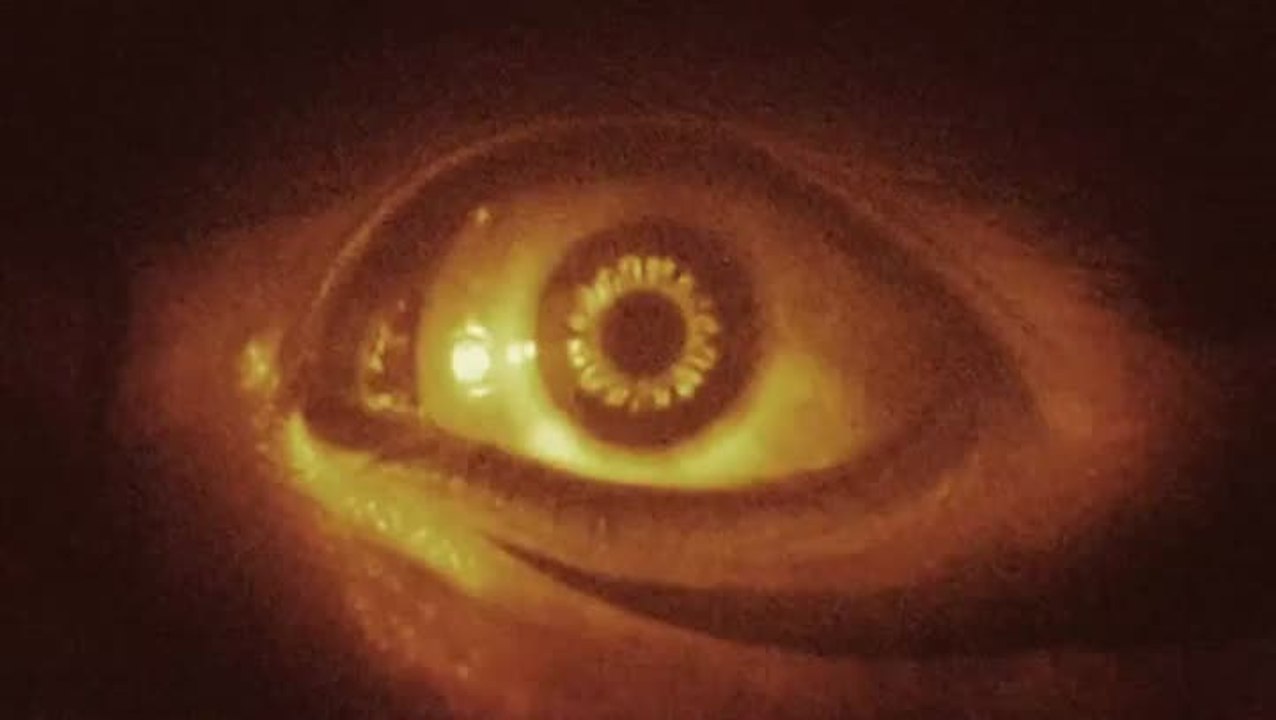 Tekken 7 : Tekken 7 - EVO 2014 Bande-annonce