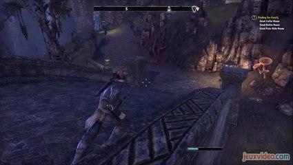 La nostalgie : le MMO à ses débuts