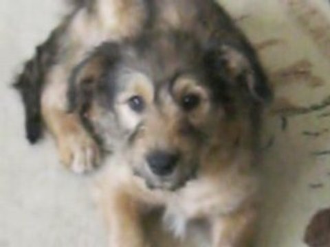 tequila et cannelle mars08