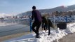 Kuraklığa dikkat çekmek amacıyla Van Gölü'ne kar kütleleri attılar
