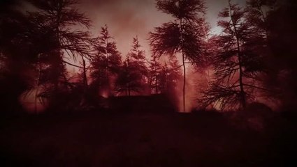 Slender: The Arrival, frisson nouvelle génération