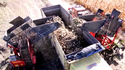 Şekerde fiyat oyununa büyük darbe! Stokçular şimdi kara kara düşünecek