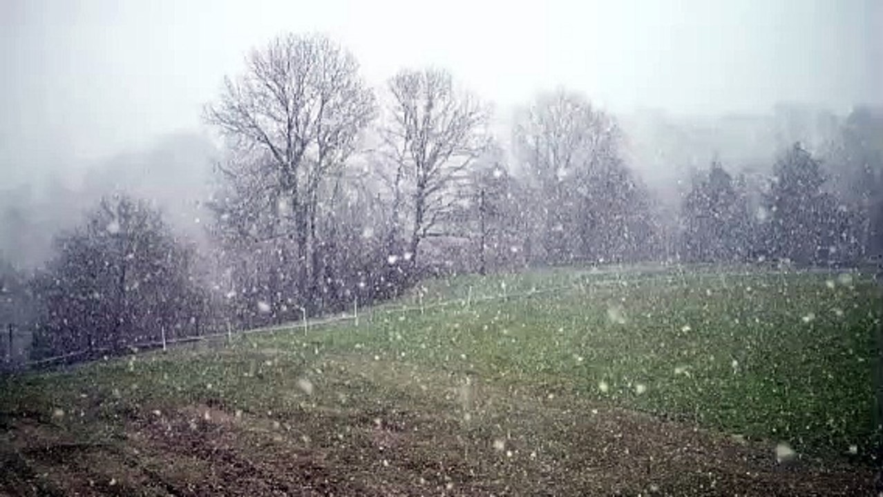 The death of Mirza Ghulam Qadiani