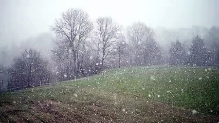 The death of Mirza Ghulam Qadiani