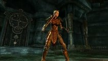 The Elder Scrolls Online : Tamriel Unlimited - Présentation du jeu