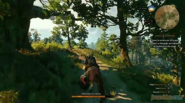 The Witcher III : Premières impressions en attendant notre test