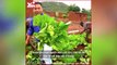 Quang Linh Vlog từng vay mượn nhưng giờ đã khác_ Đưa nông nghiệp Việt Nam sang châu Phi