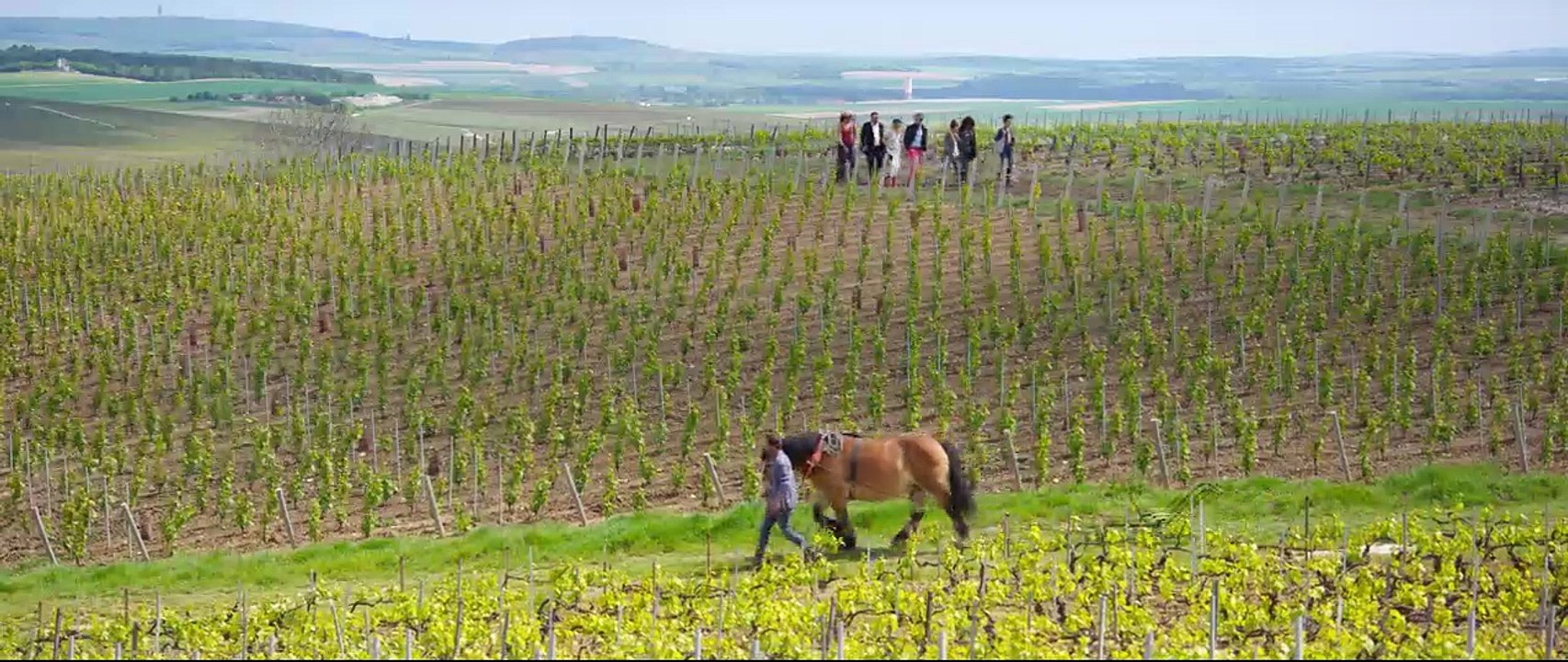 Bande-annonce de Champagne !