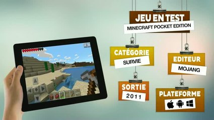 Overview Mobile : Minecraft Pocket Edition