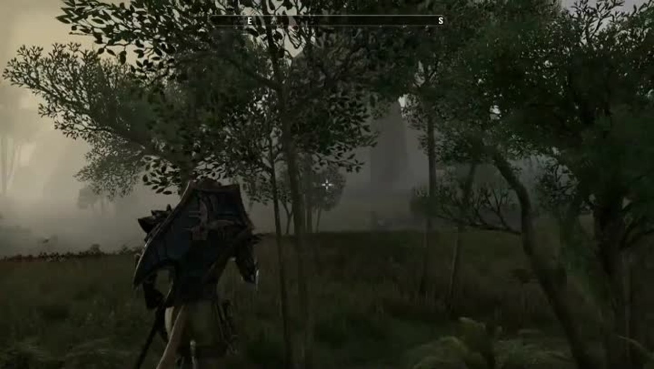 The Elder Scrolls Online : Séance de jeu des développeurs - Forger en Tamriel