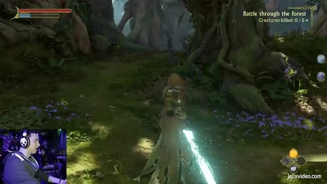 E3 2015 : Fable Legend sur Xbox One - Coop au pays des fées