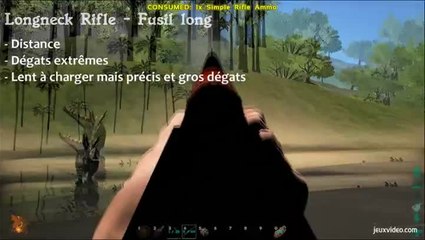 Ark : Arme long rifle