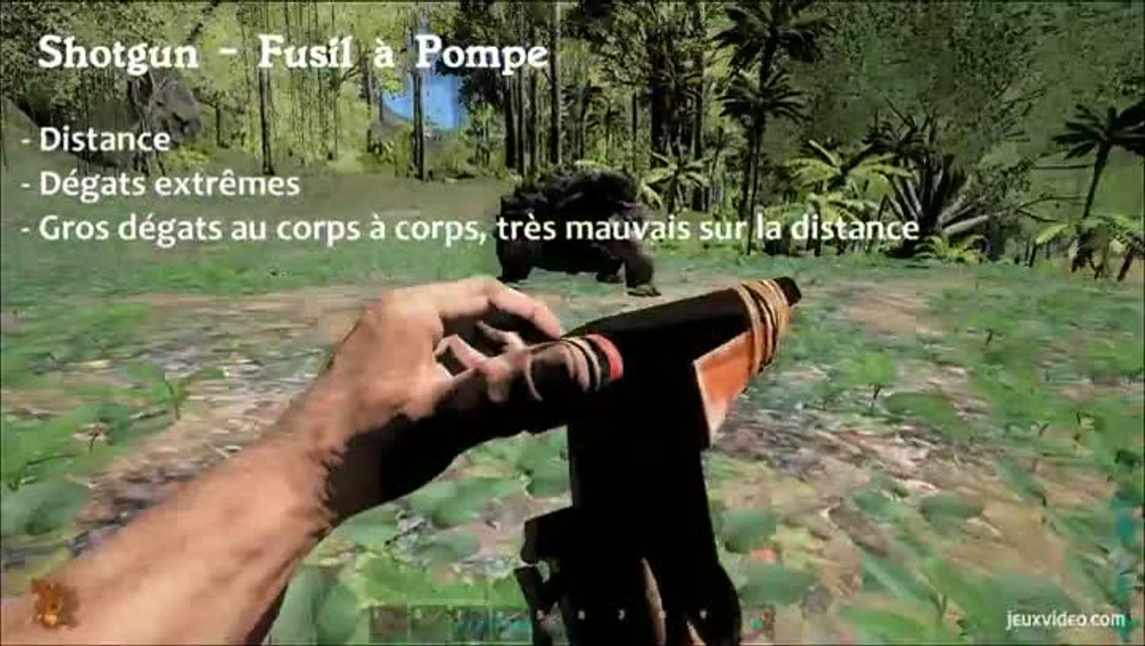 Ark : Arme Shotgun