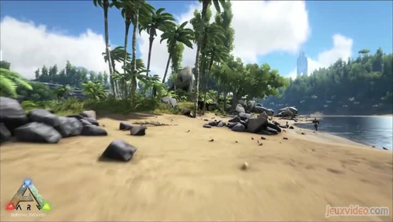 Looking for Games : Le MMO idéal