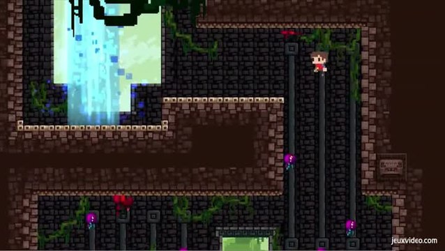 Vidéo test : Adventures of Pip