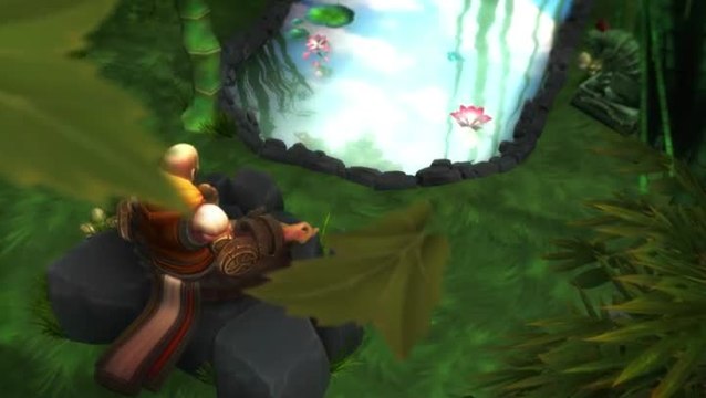 Heroes of the Storm, présentation du Moine