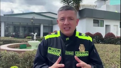 Encuentran 140 tarántulas escondidas bajo juegos de mesa