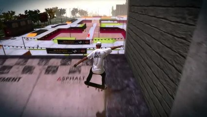 tony hawk skaters