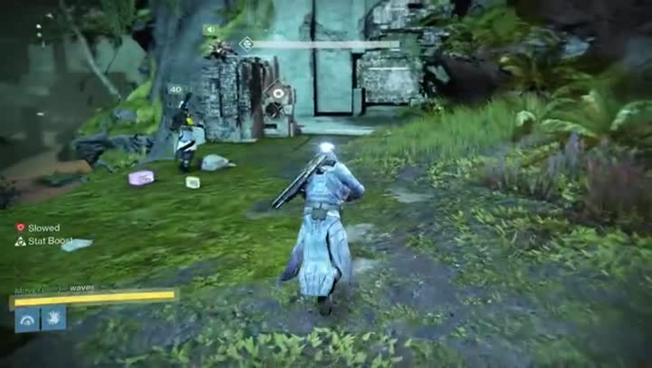 Destiny Echo Chamber