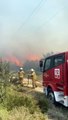 Tunç Soyer, Çeşme Çiftlikköy'deki yangının kontrol altına alındığını duyurdu