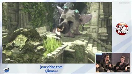 PGW : Les enjeux de la conférence Sony