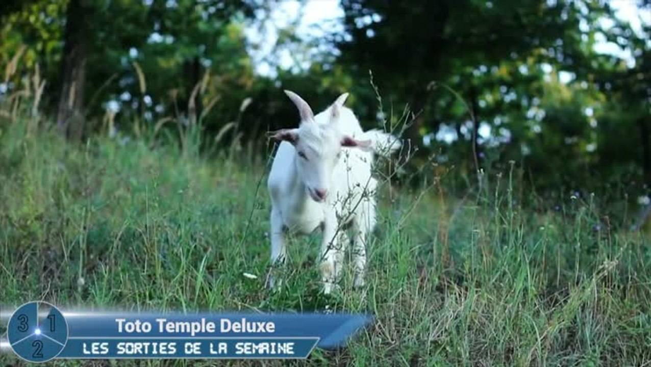 Le JT indé, l'actualité des jeux indépendants en 5 minutes - Ep4