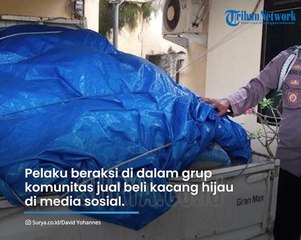 Menyamar Jadi Pak Haji, Pria Asal Kediri Bawa Kabur 2 Ton Kacang Hijau