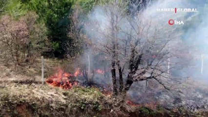 Son dakika! Bursa Osmangazi'de orman yangını