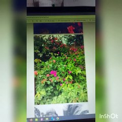 Mon livre rep. Dominicaine Haïti