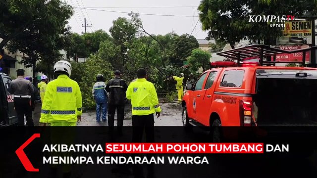 Sejumlah Kendaraan Tertimpa Pohon Akibat Hujan Deras Disertai Angin Kencang
