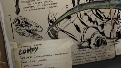 Spotlight  Compsognathus!.mp4
