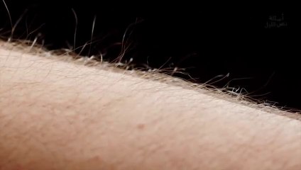 أسئلة نص الليل...؟..ليه شعر جسمنا بيقف لما بنخاف؟ أو نشوف مشهد مؤثر؟