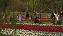 شاهد: حديقة إنديرا غاندي تفتح أبوابها للزوار مع بداية الربيع في الهند