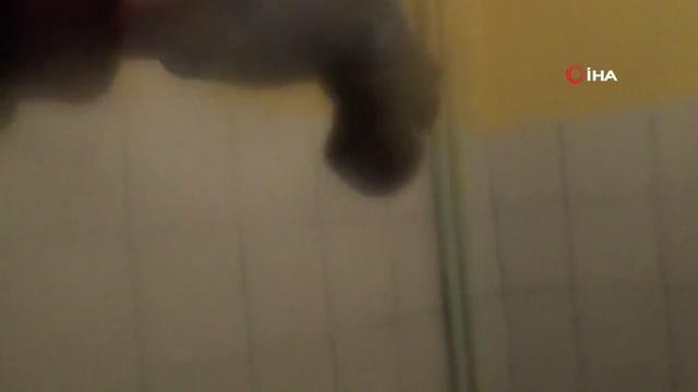 Soba bacasından tarihi değeri bulunan 170 altın çıktı