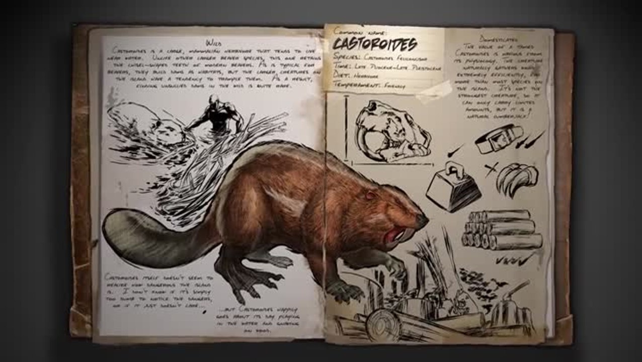 Spotlight: Castoroides