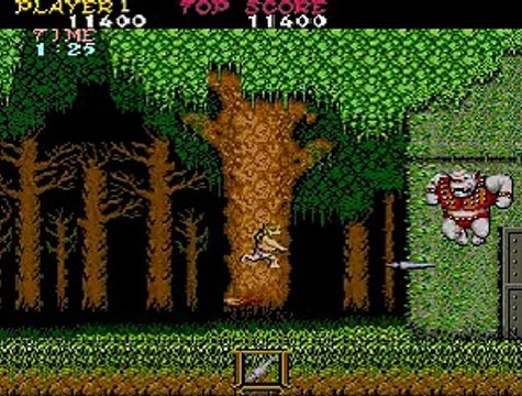 Ghosts'n Goblins online multiplayer - arcade