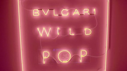 الرائع والحضور البارز Wild pop بولغري تخطف الأنظار في دبيّ والسبب حفل