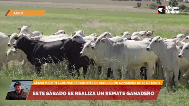 Este sábado se realiza un remate Ganadero