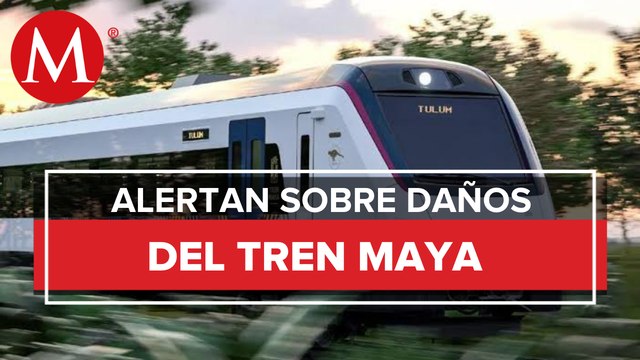 Tramo cinco del tren maya dañará ecosistemas: ambientalistas